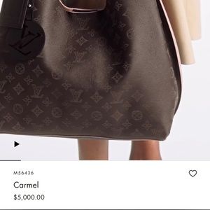 Louis Vuitton Mahina bag